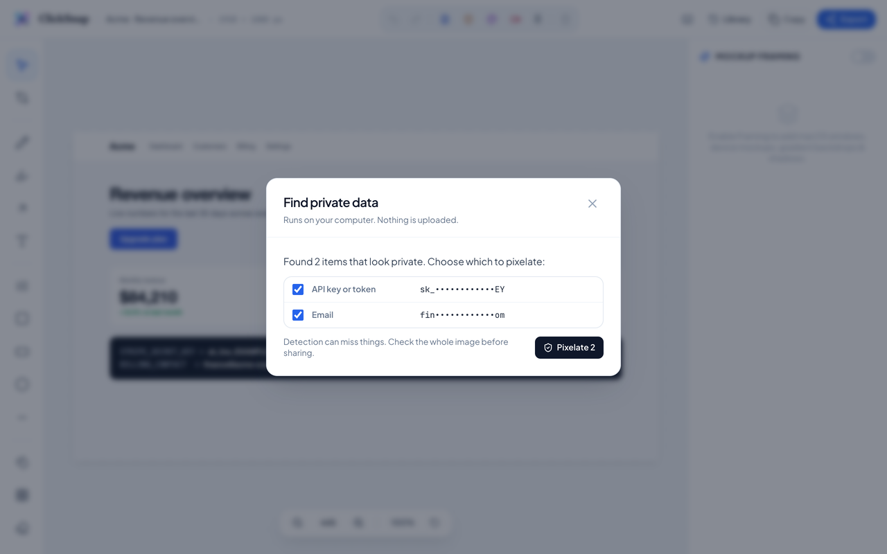 ClickSnap Find private data panel listing an API key and an email to pixelate